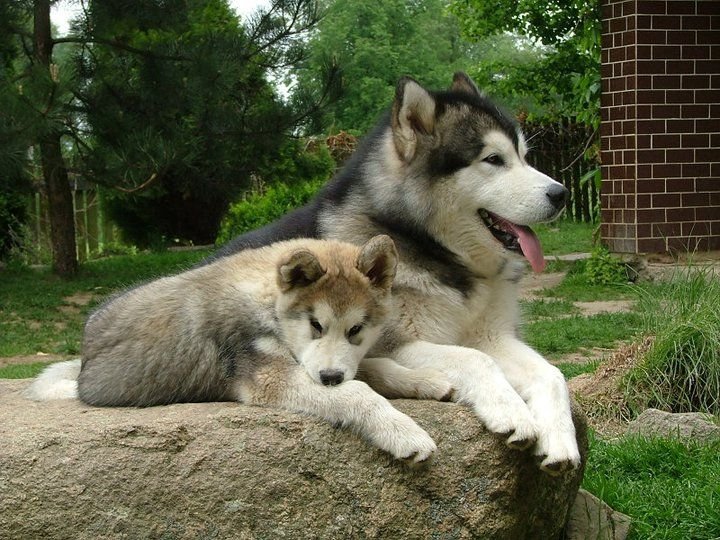 17.05.2011 Nuk and his child ;-)